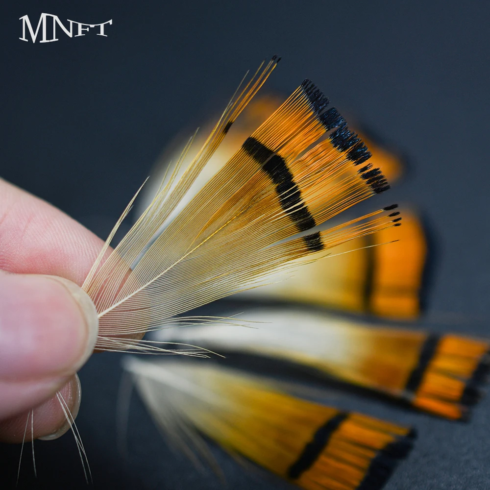 MNFT 50Pcs Natural Golden Pheasant Head Crest &rump Body Feathers assorted Wings& Tail Tying Materials Fly Fishing