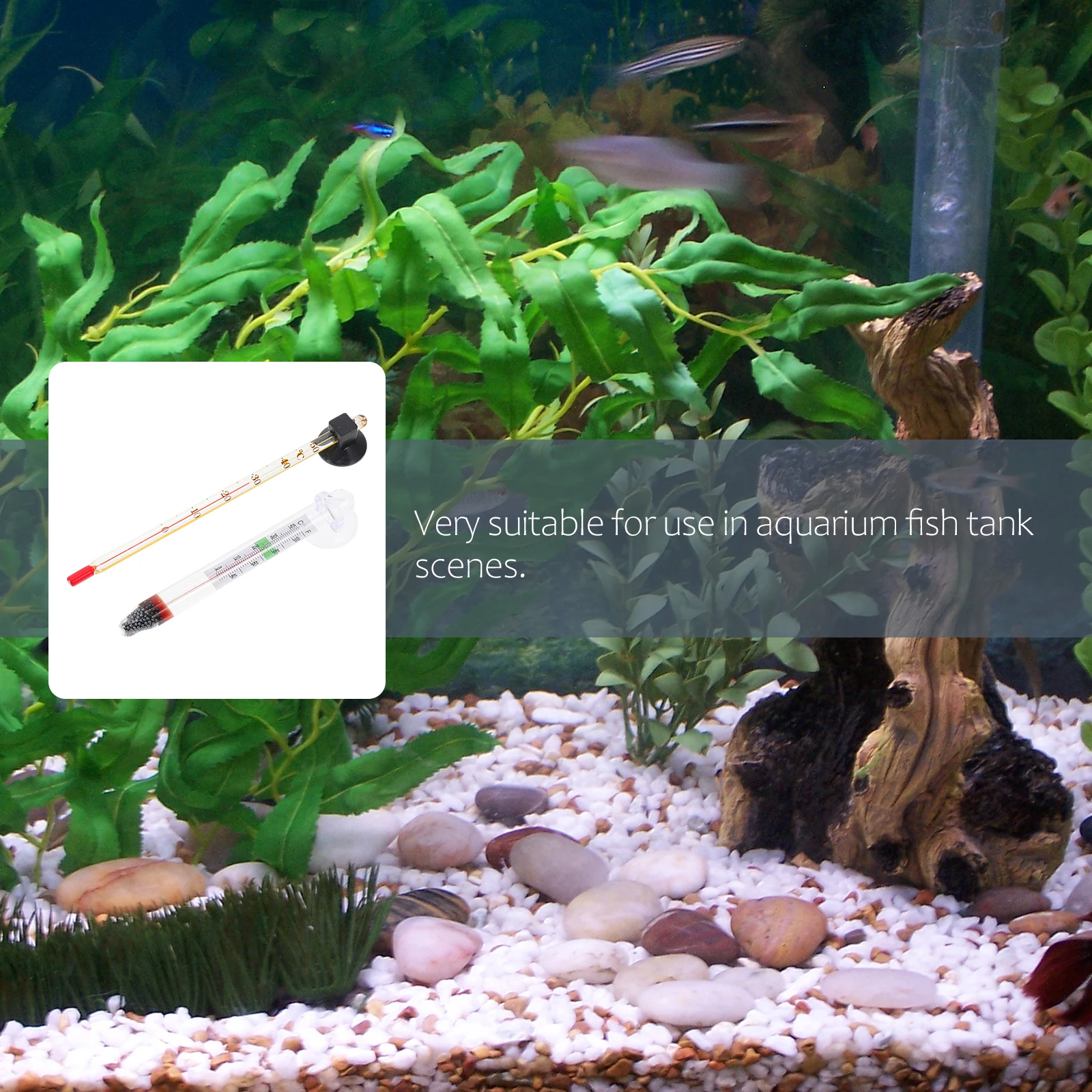 

4Pcs Fish Tank Thermometer Floating Aquarium Suction Cup Glass Temperature Gauge Clear Scale Waterproof Fish Tank Thermometer