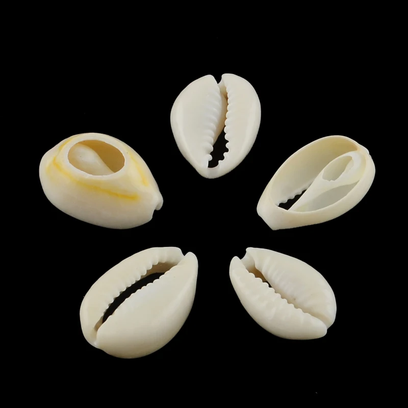 100pc naturalne mieszane Cowrie muszelki koraliki Cowrie muszle PapayaWhip 10 ~ 17x7 ~ 11x3 ~ 6mm — zdjęcie 3