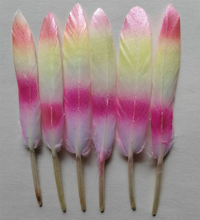 20 قطعة 10-15 سنتيمتر ريش أوزة مطلي ، ريش بطة بلونين ، زينة الزفاف ، بلوماس ، 5 ألوان متاحة