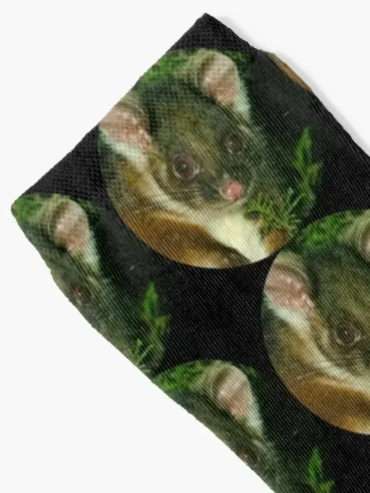 Ringtail Possum portrait Socks snow gifts Stockings christmas gift Socks For Women Men's