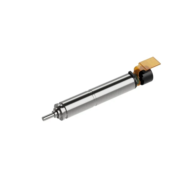 

Zhaowei Custom 3V 6V 12V Mini DC Metal 6mm Micro Planetary Gear Motor with Encoder for Medical Hemodialysis