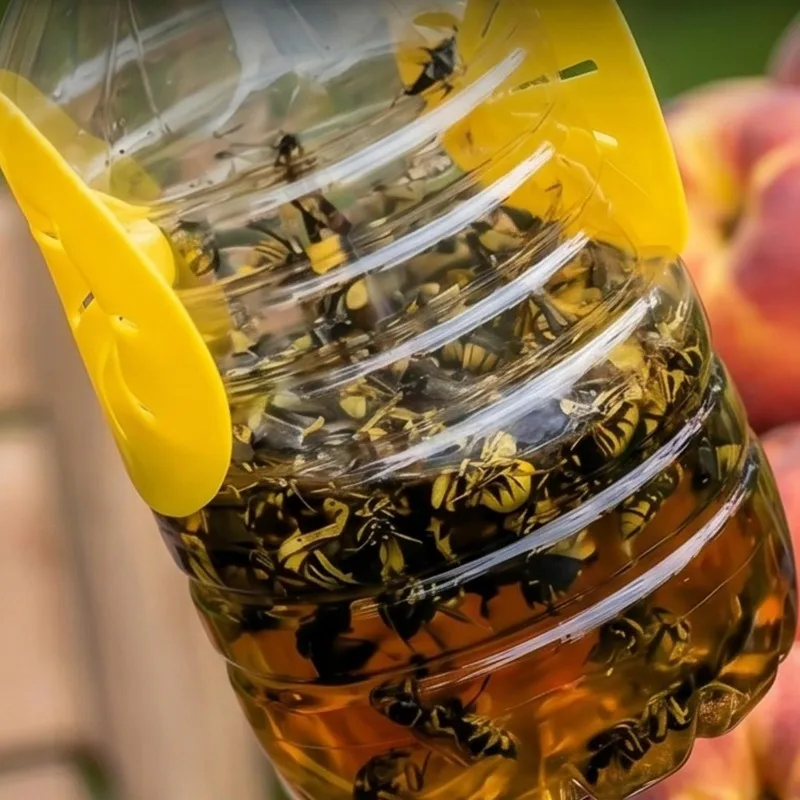 5-20pcs Outdoor Wasp Trap Funnel Reusable Flower Hornet Bee Insect Catcher Fly Trap Killer for Water Bottle Garden Pest Control