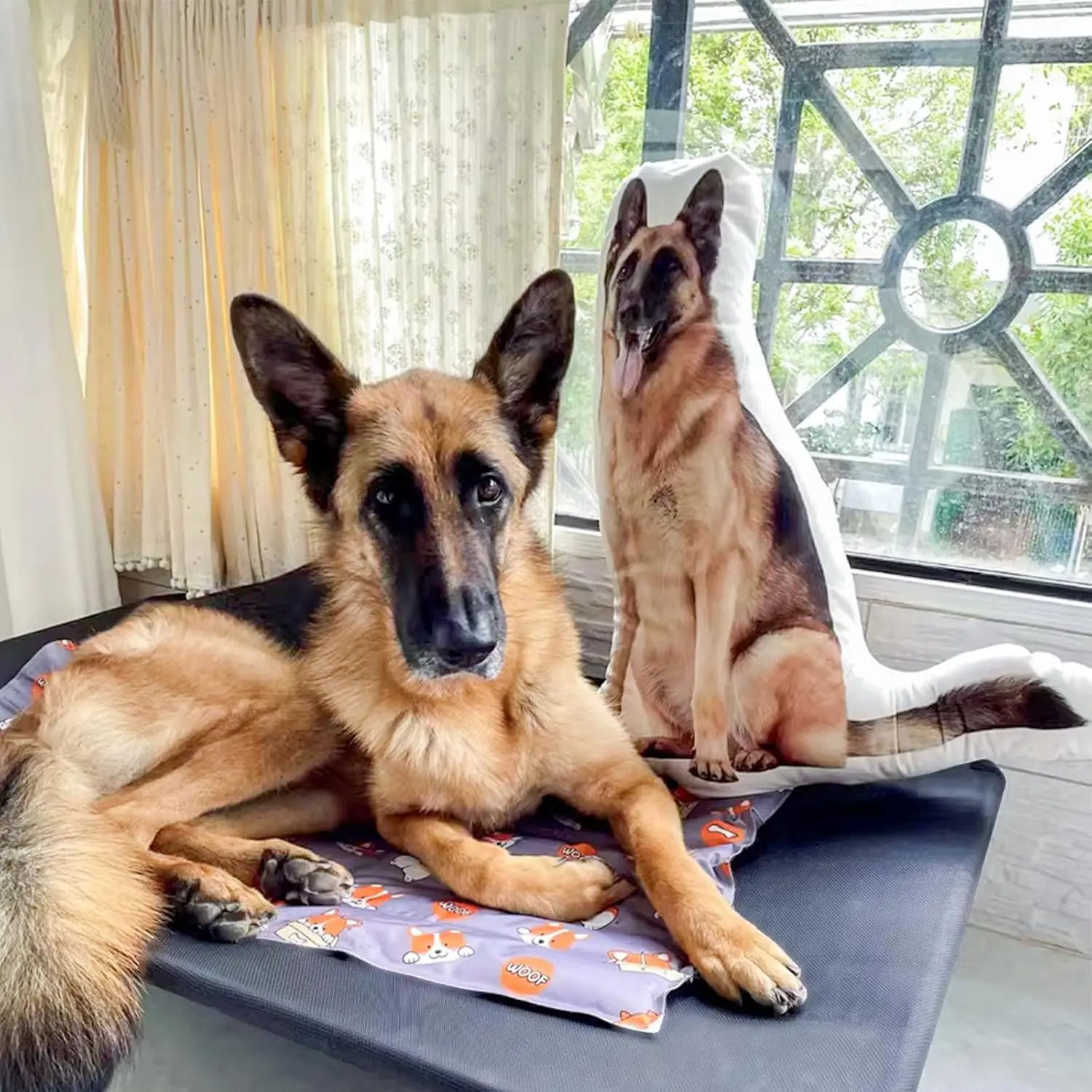 

Персонализированные подушки для домашних животных | Подарки на день рождения на заказ | Фотоподушки | Мемориальные предметы домашних животных Идеальный подарок на Хэллоуин