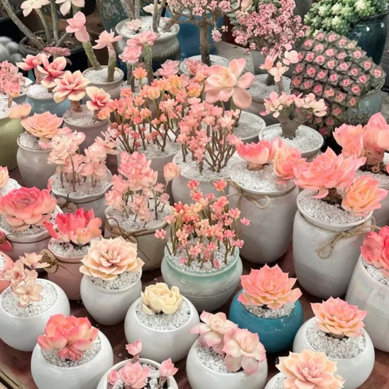 

4pcs 57mm 1.0" Metal Beadlock Wheel Tire Set For 1/18 RC Crawler Car SCX24 FMS24 TRX4M Upgrade Parts Accessories