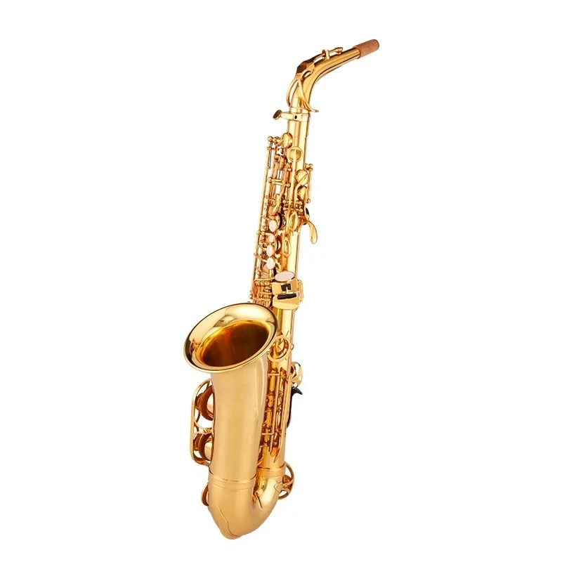 Professional Performance Level Lacquer Gold Hand-Carved E-Flat Alto Saxophone With Accessories Wind Instruments