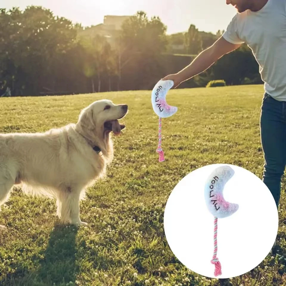 Interactive Squeaky Dog Toy Rope Knot Chew Toy for Dogs Heart Shape Plush Toy, Puppy Molar Teething pet Supplies