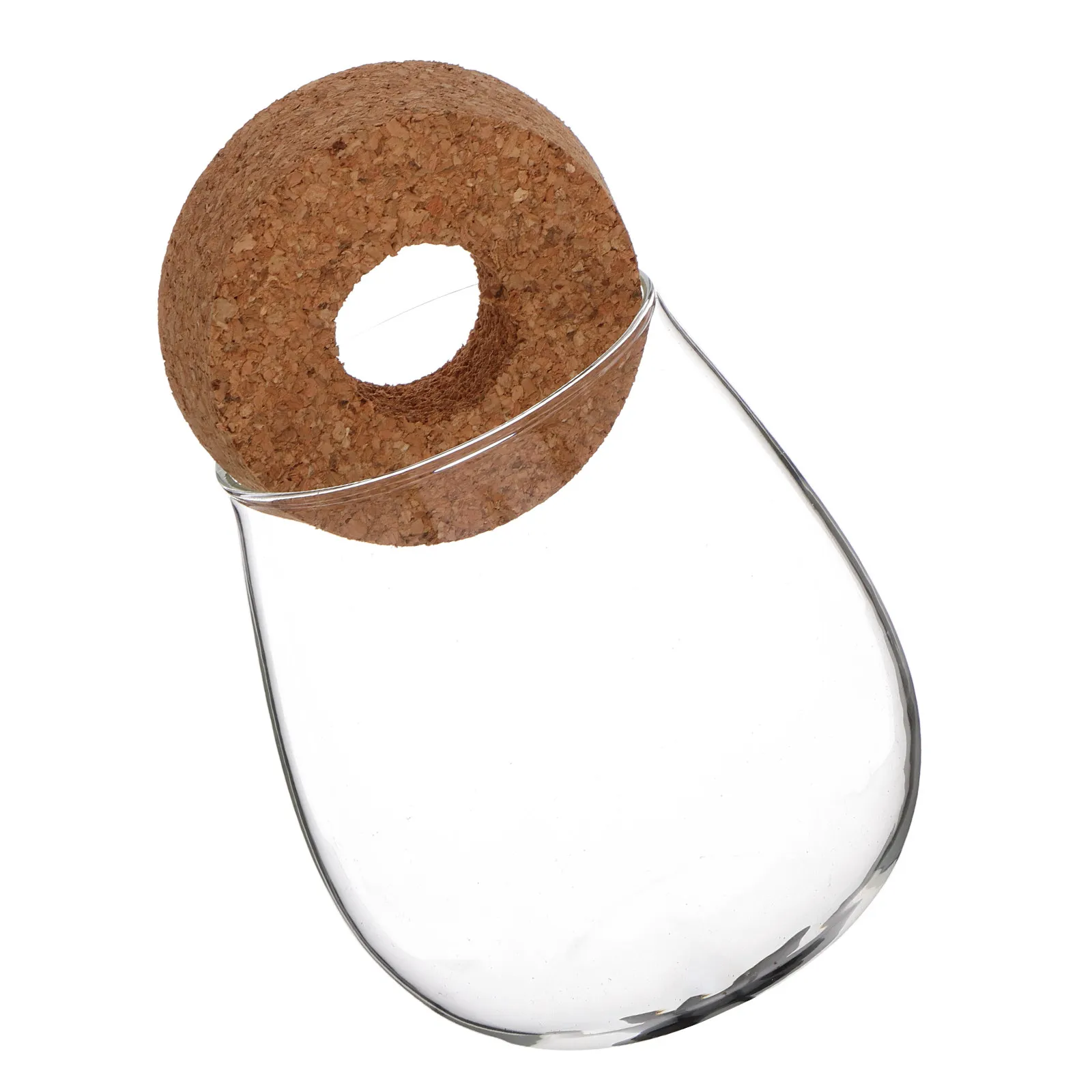Small Clear Glass Hydroponic Vase for Plant Propagation Water Roots Observation Desktop Planter Terrarium Style Low Maintenance
