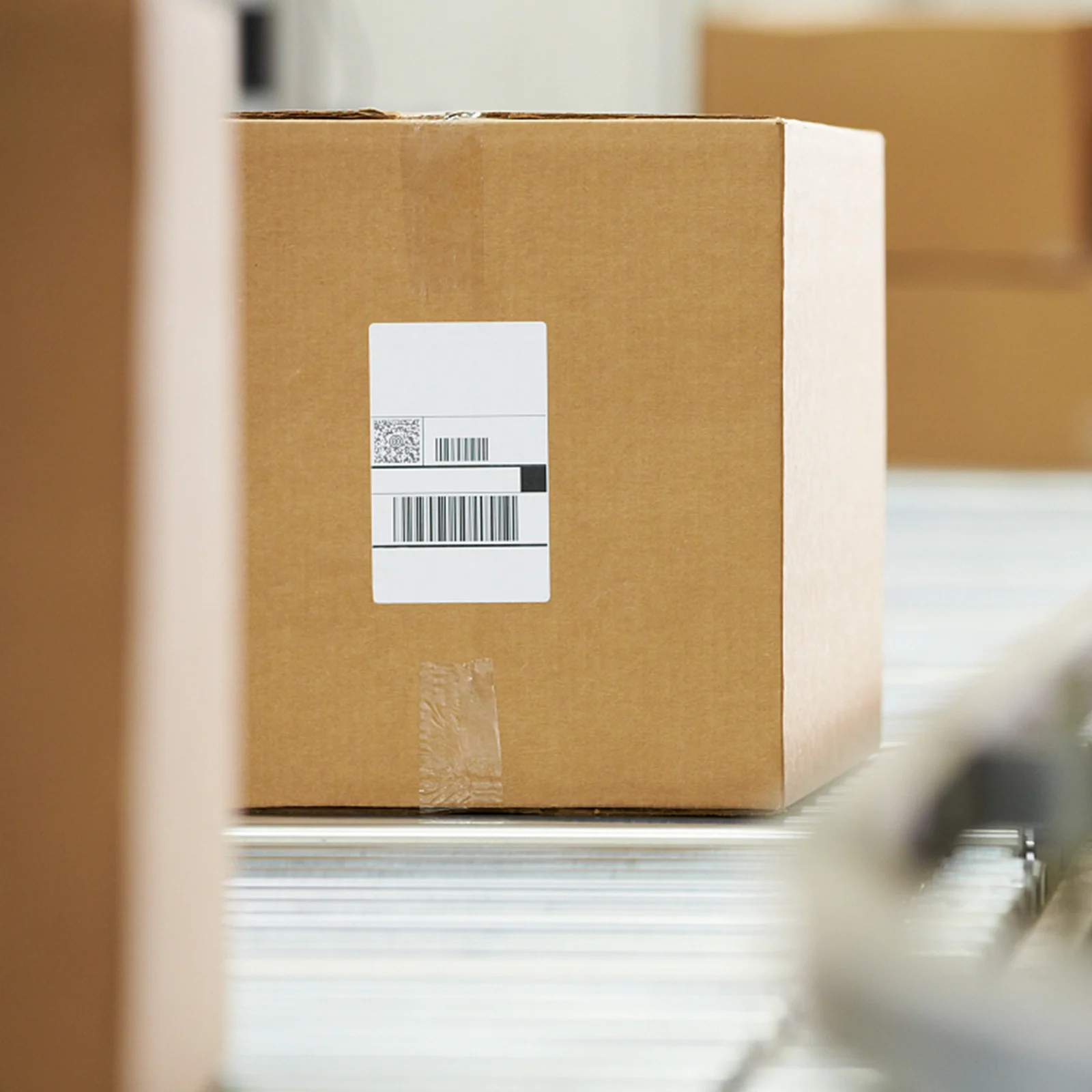 Étiquettes en papier thermique auto-adhésives imperméables, autocollant de nom polyvalent pour bouteille, étiquette de prix de plante, rouleau d'étiquettes autocollantes