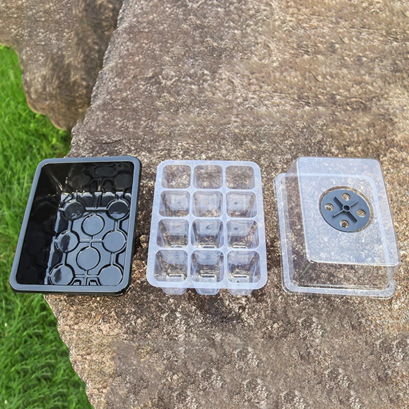 Mini serre pour la germination des plantes succulentes bretonne, 6/12 trous, cadres de démarrage, humidité