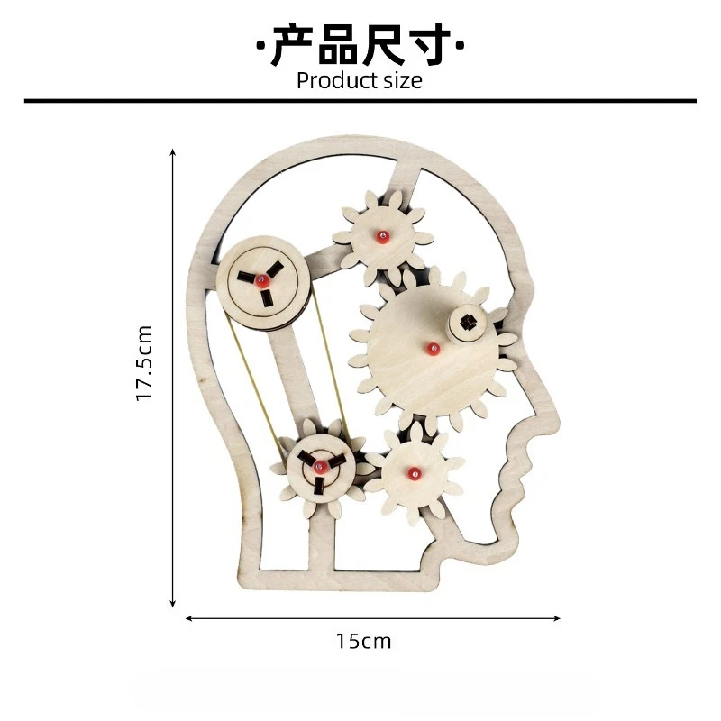 Gear Transmission Principle Model DIY Science Experiment Kit Kids Handmade Assembly Toy Mechanical Physics Educational Teaching