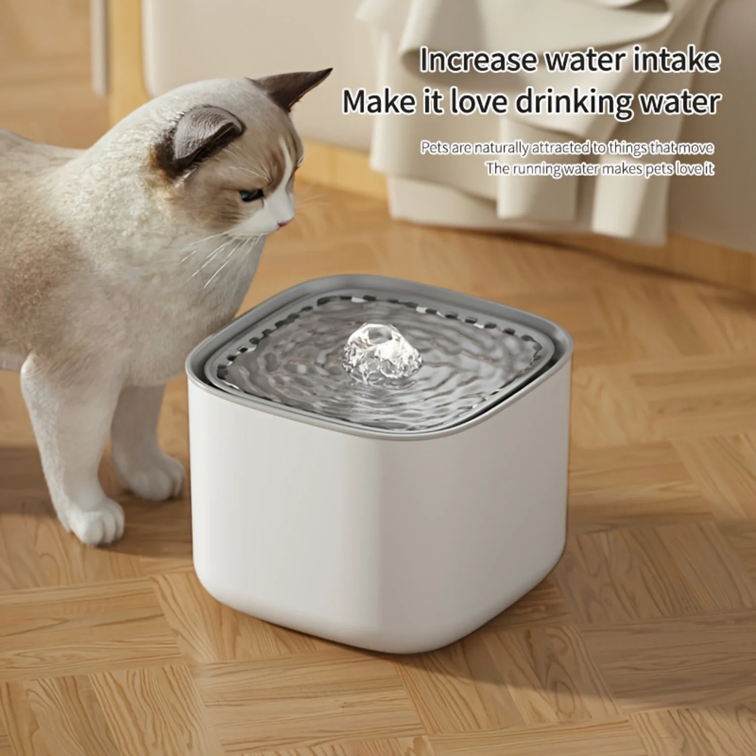 Silent USB-Powered Cat Water Fountain | Indoor Dispenser with Continuous Circulation for Hydration