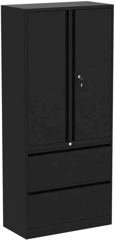 STANI 2 Drawer Lateral File Cabinet, Metal Storage Cabinet with Drawers, Locking File Cabinet with Storage Shelves, Metal Storag