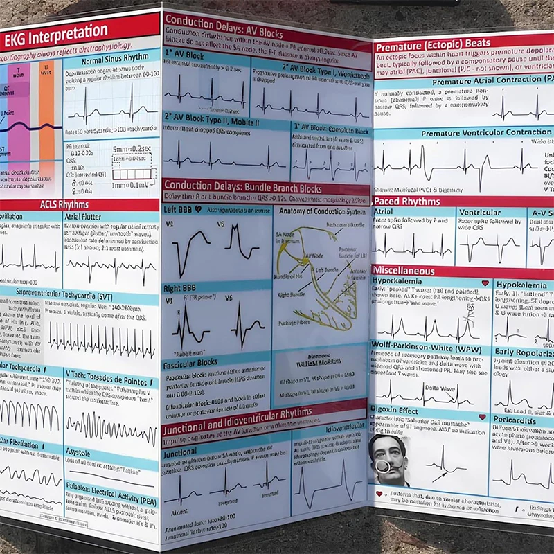 EKG إيقاع دليل الجيب خريطة جيب مخطط كهربية القلب الذاتي قياس البيض موصلات قياس الدقة أداة منزلية #3