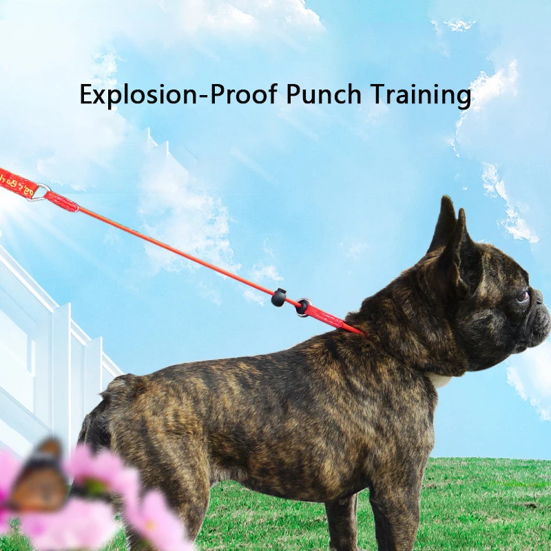 

Pet training p-chain reflective explosion-proof punch dog walking leash universal p-leash large and small dog walking dog leash