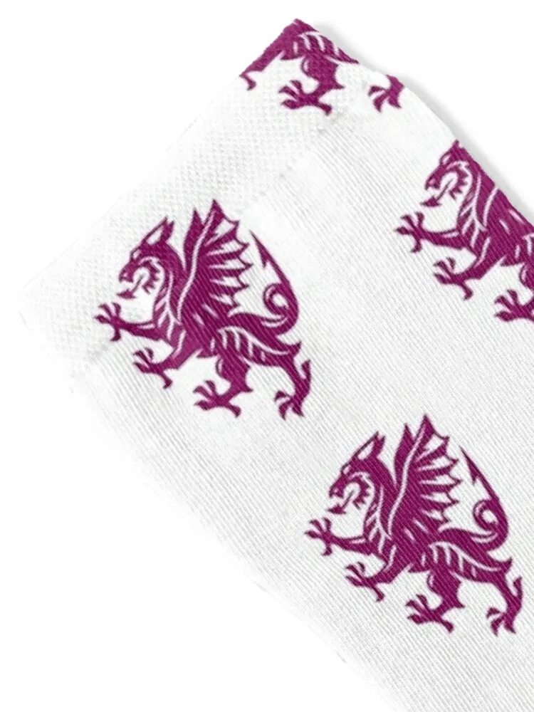 Somerset County Cricket Socks winter gifts aesthetic gifts Run Women's Socks Men's