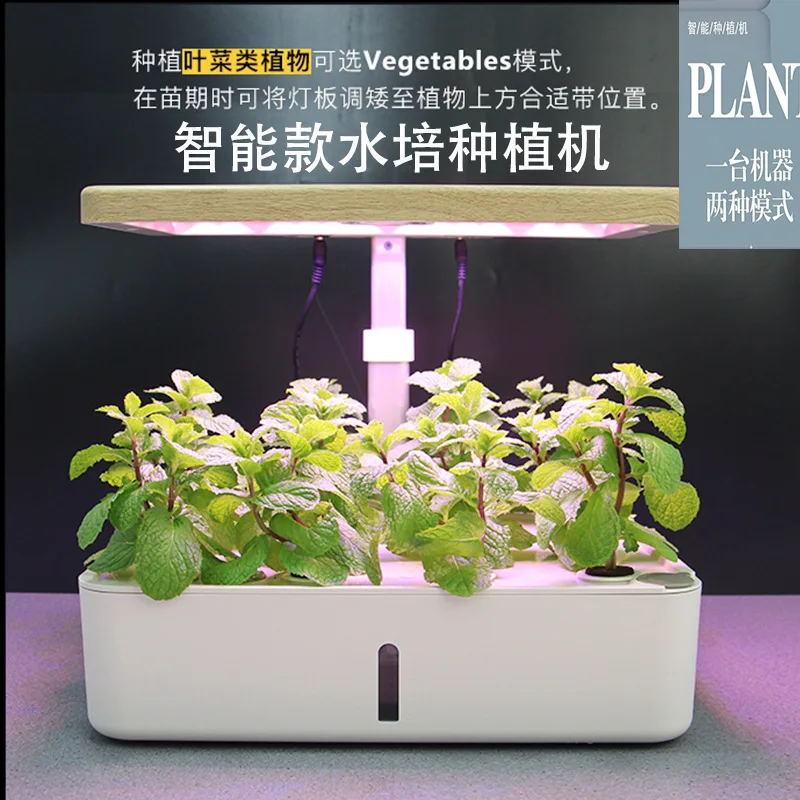 Smart Home Hydroponic Growing System - Soil-free Vegetable Flower Planter Box for Indoor Gardening