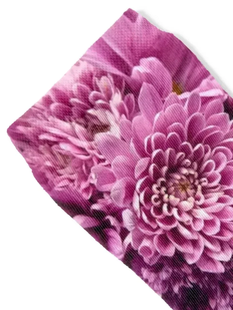 DAHLIA DELIGHT ~ Their color is orchid pink. Socks Thermal man winter winter gifts Non-slip Women Socks Men's