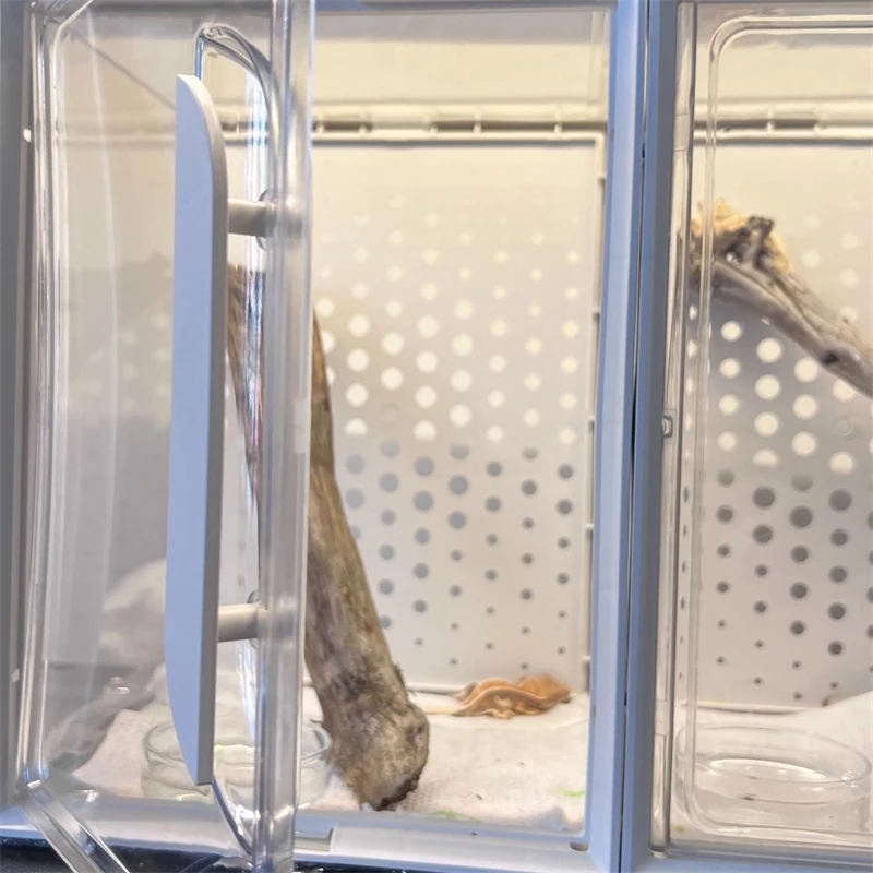 Transparent Thick Reptile Terrarium Airy Pet Box For Geckos Frogs Lizards Table Display Birthday Gift For Beginners - view 6