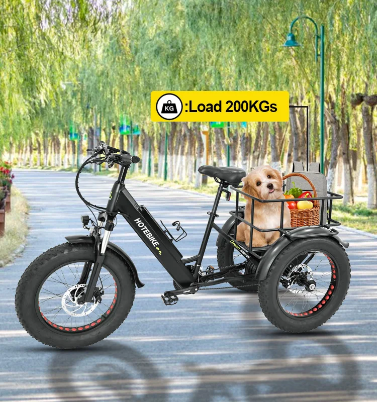 High performance electric bicycle 20 inch 7-speed electric freight bicycle electric