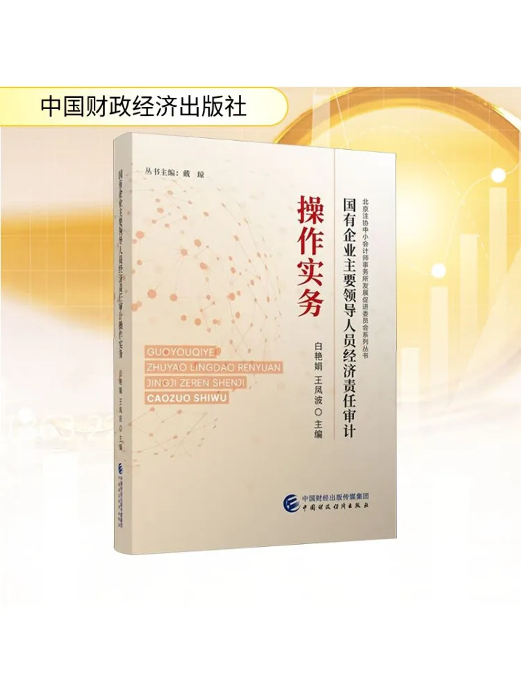 

Книга-Winshare Операционные практики экономической ответственности Audits для ведущего персонала в государственных собственных предприятиях