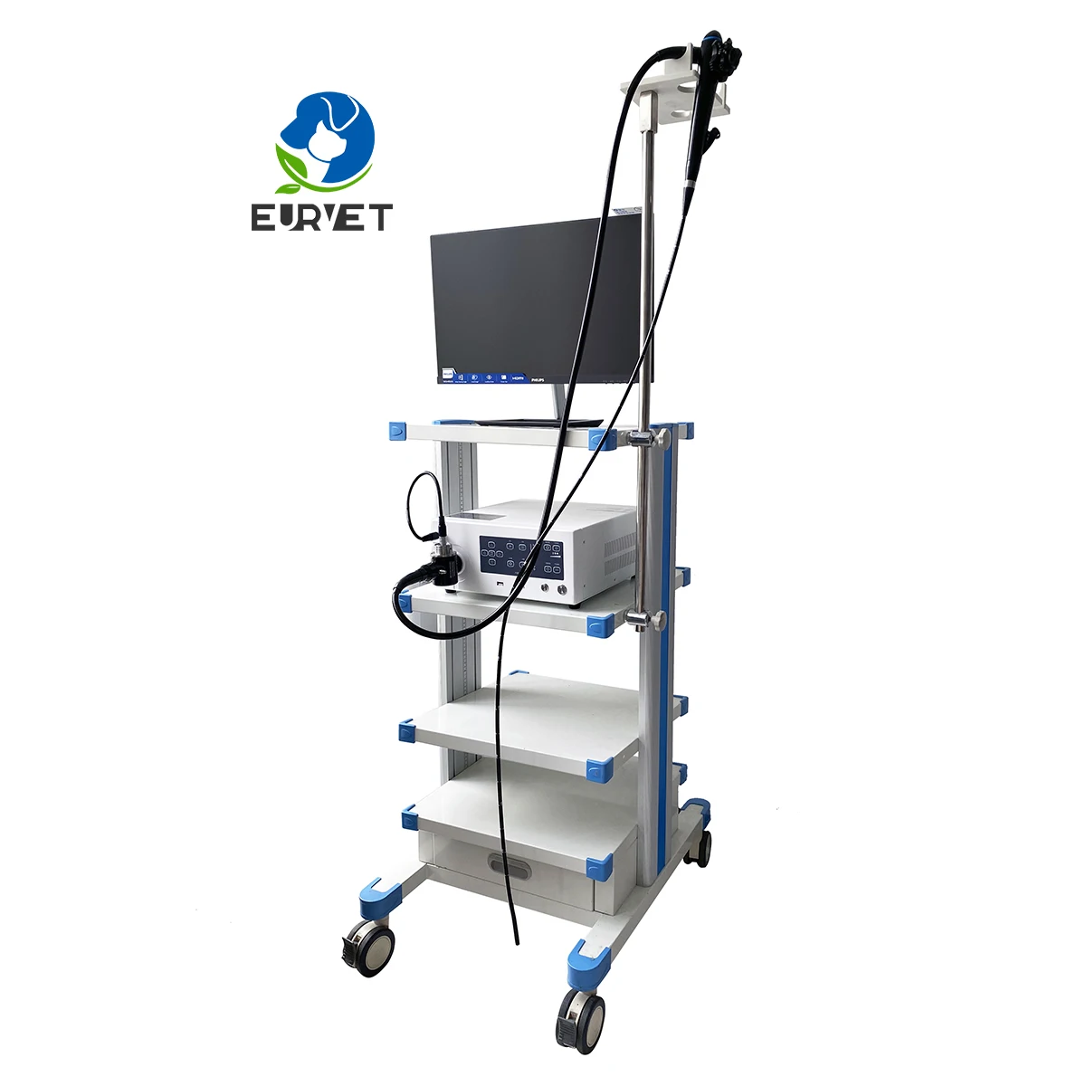 Flexible Endoscope Favorable Veterinary Medical Equipment for Dog for Vet Clinics