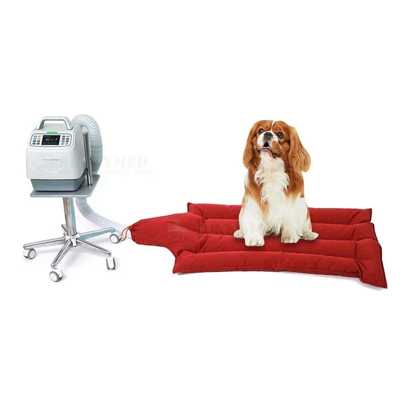 SY-R0210A-vet Pet ICU room Veterinary Automatic Air Warming Pad Machine For Animals Injury Recovery