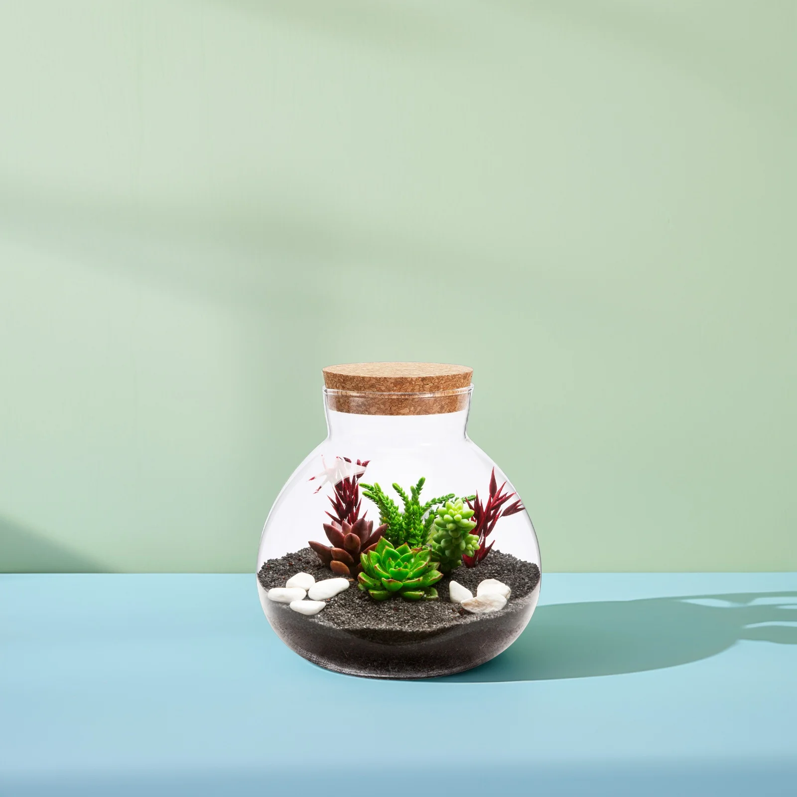 

Glass Ecological Bottle 15cmx16cm Clear Round Terrarium Jar Smooth Surface DIY Moss Landscape Crafting Elegant Home Decoration