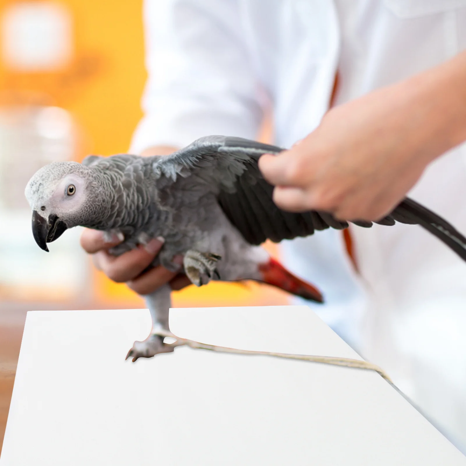 

100pcs Bird Pet Supply Disposable Waterproof Absorbent Tray Mats Pet Cage For Birds Cage Pad Supply