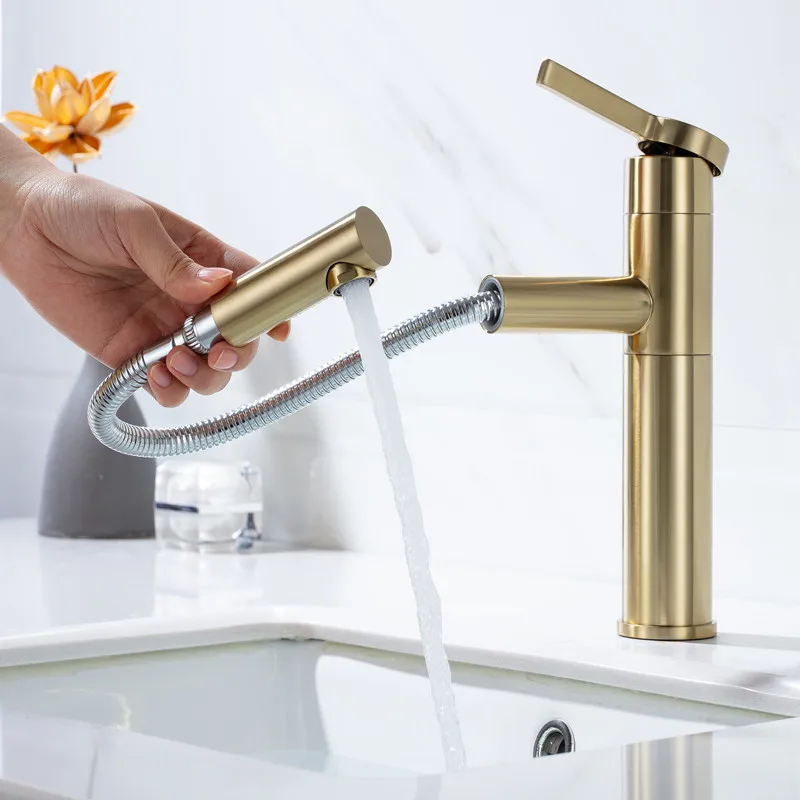 

Modern Lamian Noodles basin rotating faucet hot and cold washbasin telescopic faucet