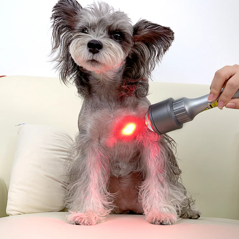 Animal Laser Therapy Class IV 10W-30W Veterinary Laser Rehabilitation for Horse and Dog