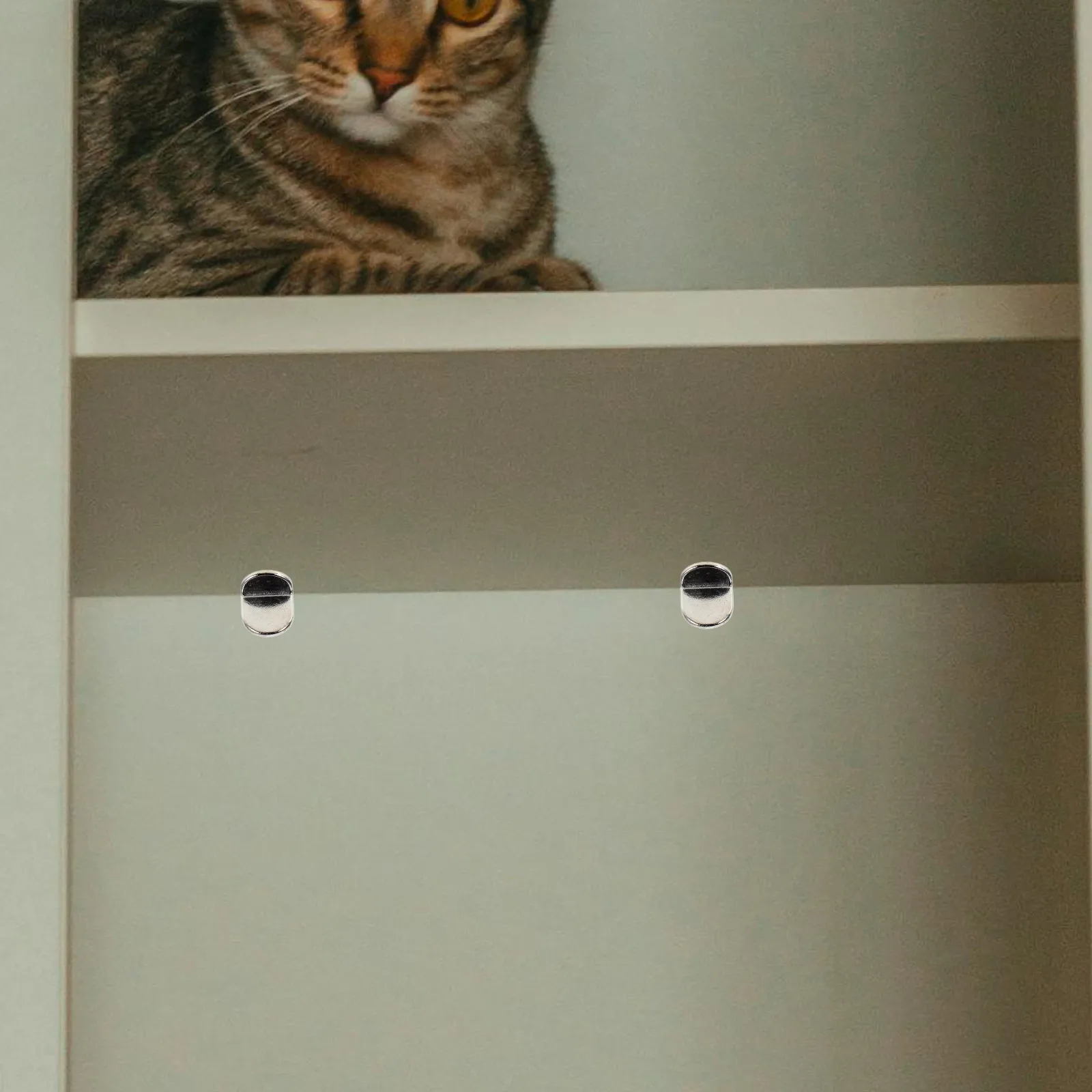 

30Pcs Cabinet Shelf Support Pegs Durable Alloy Material Stable Shelving Clips Furniture Small Shelf Brackets Furniture Brace