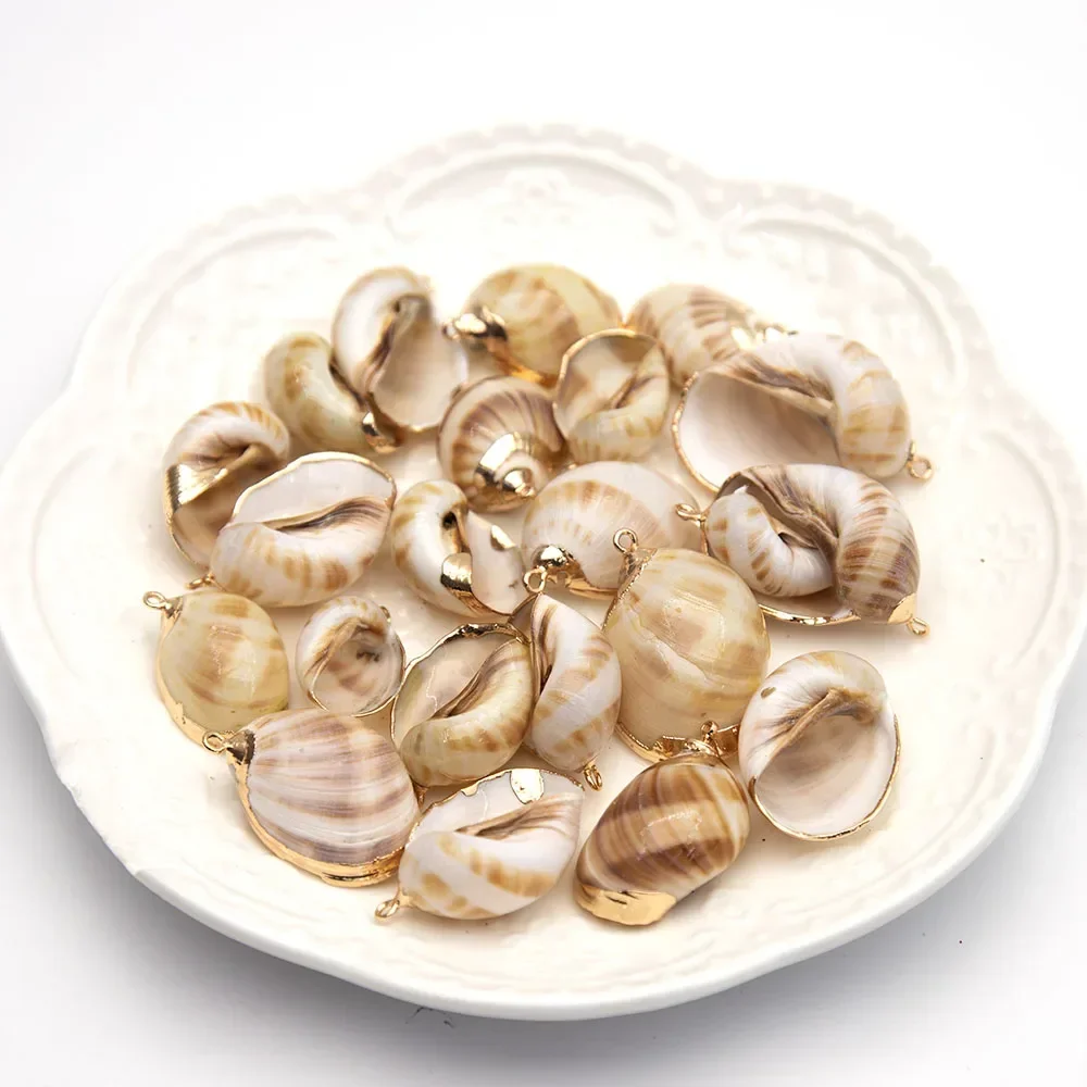 1/5/10 قطعة 10-30 مللي متر محارة شل قلادة جالبة للحظ الحدود الذهبية الطبيعية البحر قذيفة DIY بها بنفسك لصنع القلائد أقراط حجم غير منتظم