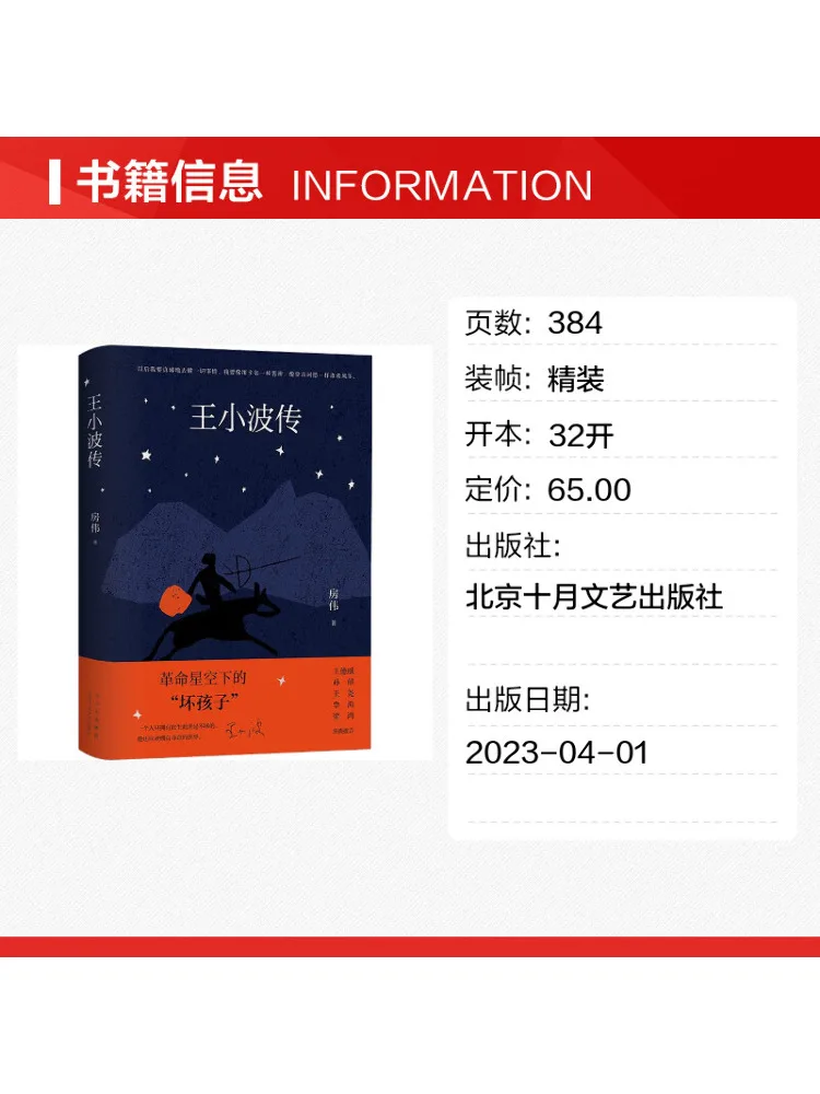 Book-Winshare The Biography Of Wang Xiaobo