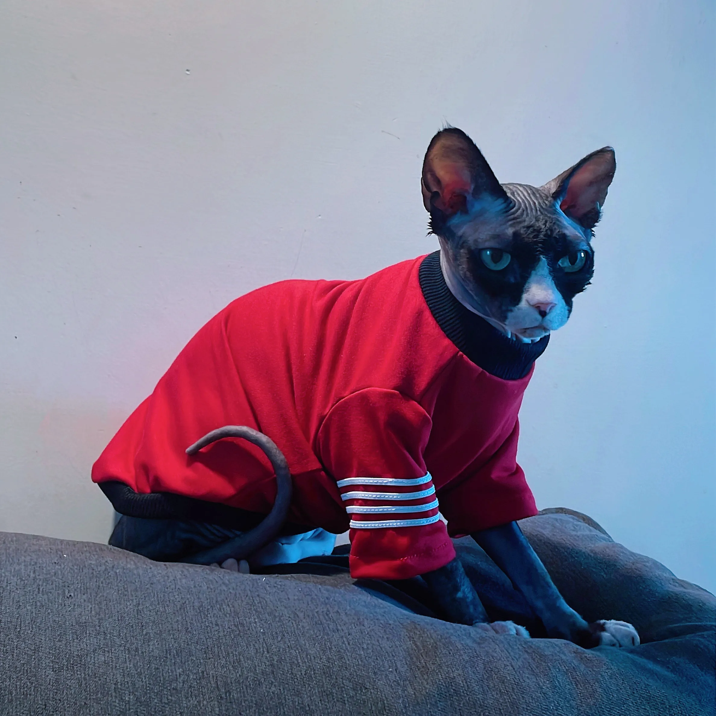 Soft Cotton Undershirt for Sphynx Cat Autumn-Winter Warm Red Loungewear for Kittens Long Sleeves T-Shirt for Devon Rex in Spring