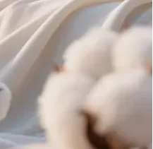 راديو أندرويد لسيارة تويوتا هايلكس 1998-2004 الوسائط المتعددة أندرويد أوتو 6.86 "ستيريو 1 Din وحدة رأس Carplay Autoradio BT WIFI #1