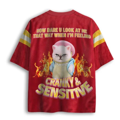 V Neck Mesh Jersey, Grumpy Cat Flame Cranky & Sensitive Letter Print Short Sleeve Loose Street Mesh Top