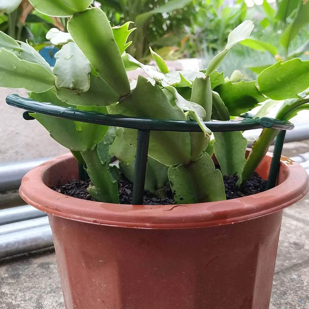 Soporte para plantas duradero, soporte de pila para flores, invernaderos, soporte de fijación, soporte de escalada de vid interior, suministros de jardín, 1/6 Uds.