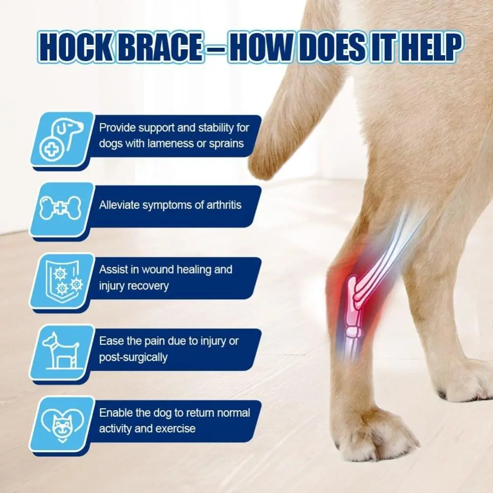 Comfortable Lightweight Dog Leg Brace Adjustable Breathable Dog Ankle Splint Reusable Compression Leg Wrap Post-Surgery Care
