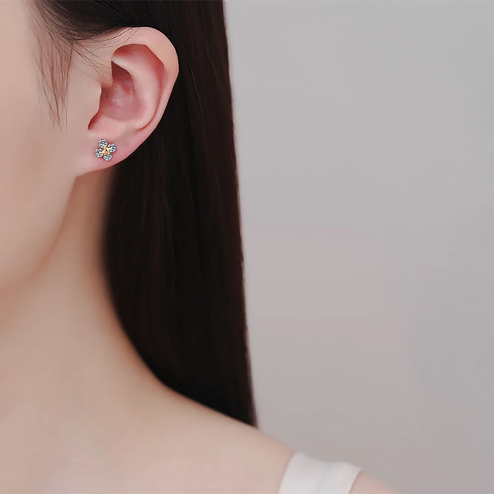 3mm Star Moissanite Stud Earrings for Women 100% 925 Silver D Color VVS1 Brilliant Cut Diamond Ear Studs Pass Diamond Tester