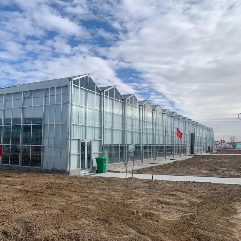 

Customized greenhouseFactory Multi-Span Venlo Single Layer or Double Layer Glass Serre Greenhouse with Hydroponics System for Le