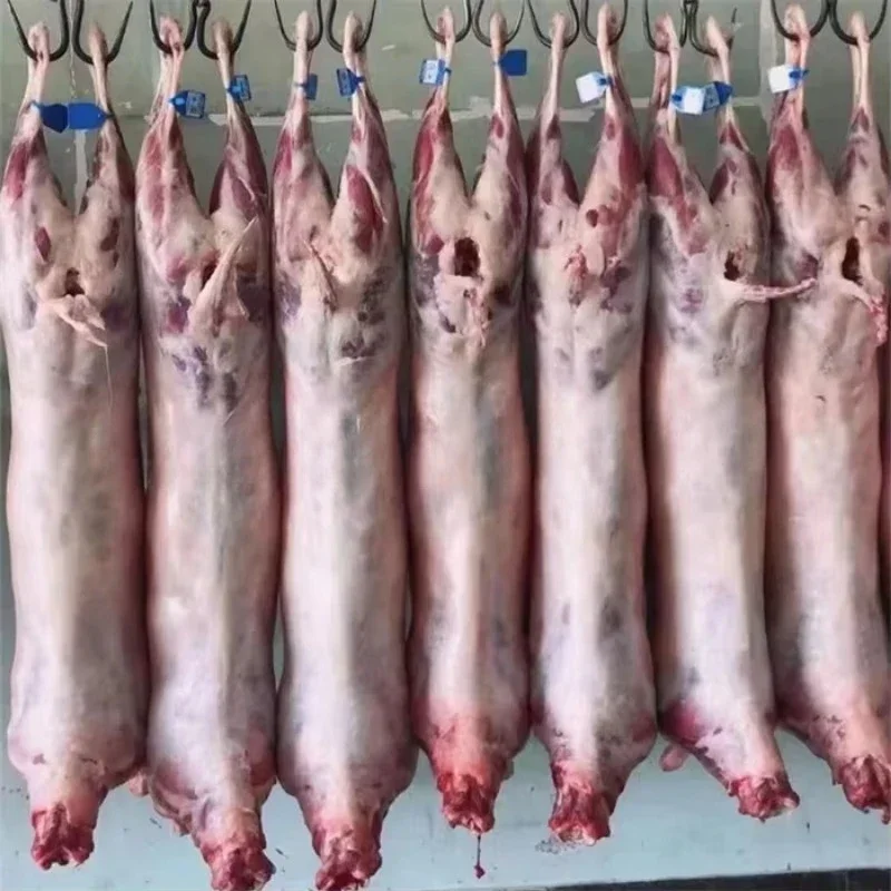 آلة تقشير الماعز الأغنام abattoir بسعر المصنع/مجفف حصان الماشية الهيدروليكية/آلة نينغ الأغنام والماعز