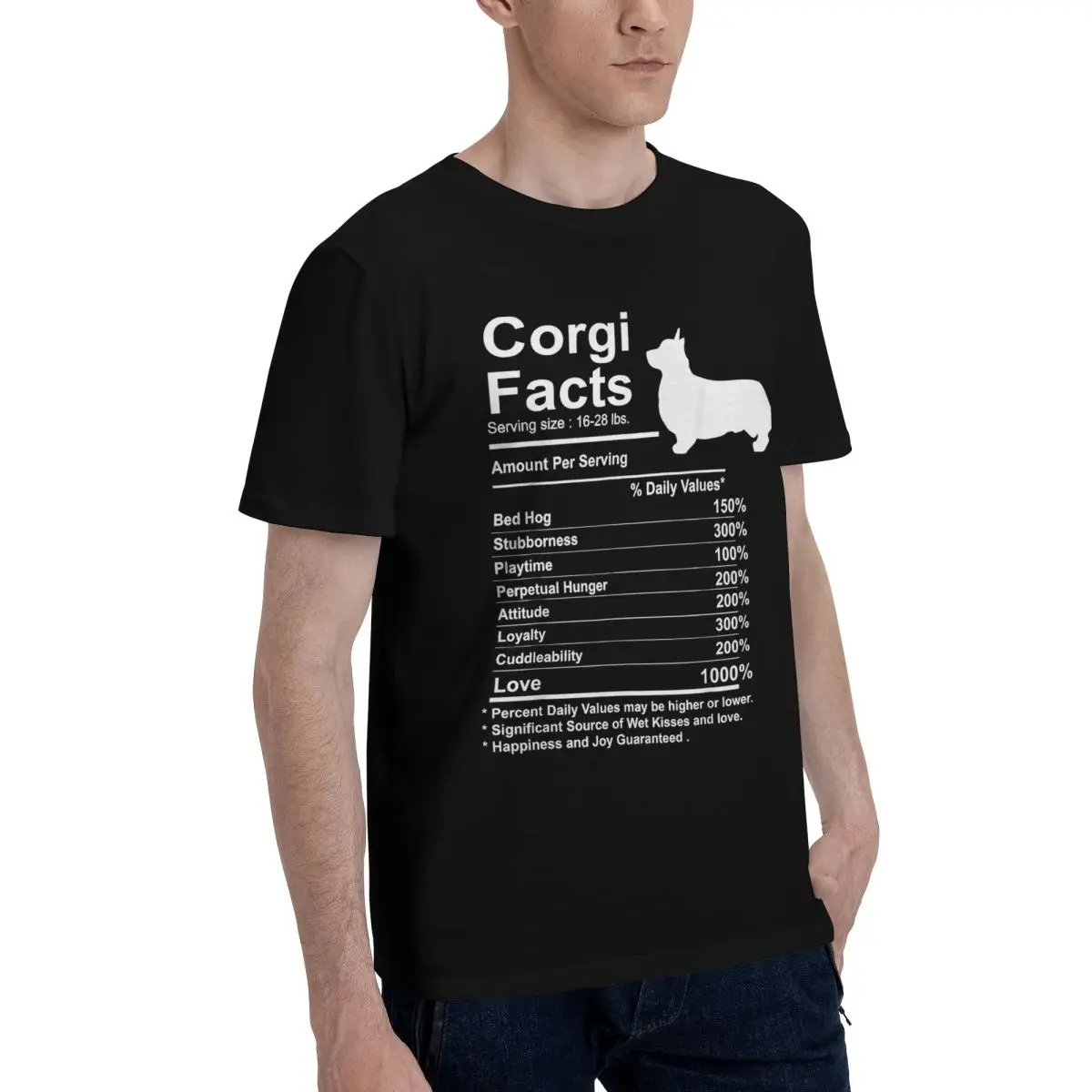 Campaign Corgi Facts Poster Tshirt Kemp premium High grade Home Eur Size