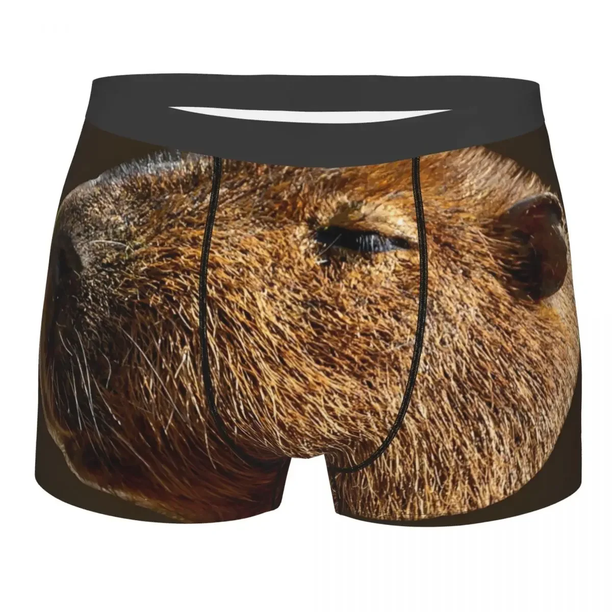 Custom Male Funny Capybara Profile Underwear Popular Animals Boxer Briefs Soft Shorts Panties Underpants