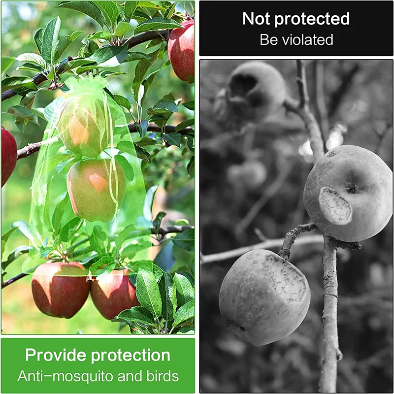 50 stks Fruit Bescherming Zakken Anti-Vogel Tuin Netting Zakken Aardbei Druiven Netje Plante Groente Netting Cover Tuin gereedschap