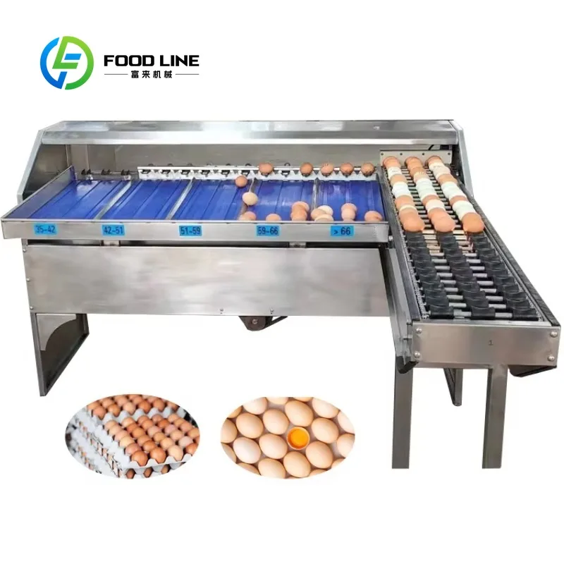 Customized Stainless Steel Egg Grading Machine Commercial Egg Sorting Machine Durable for Long Time Working