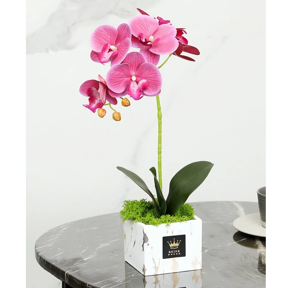 Phalaenopsis Veiner Silicone Mould Fondant Flower Cake Decorating Chocolate Gumpaste Sugarcraft Clay Cold Porcelain M2899