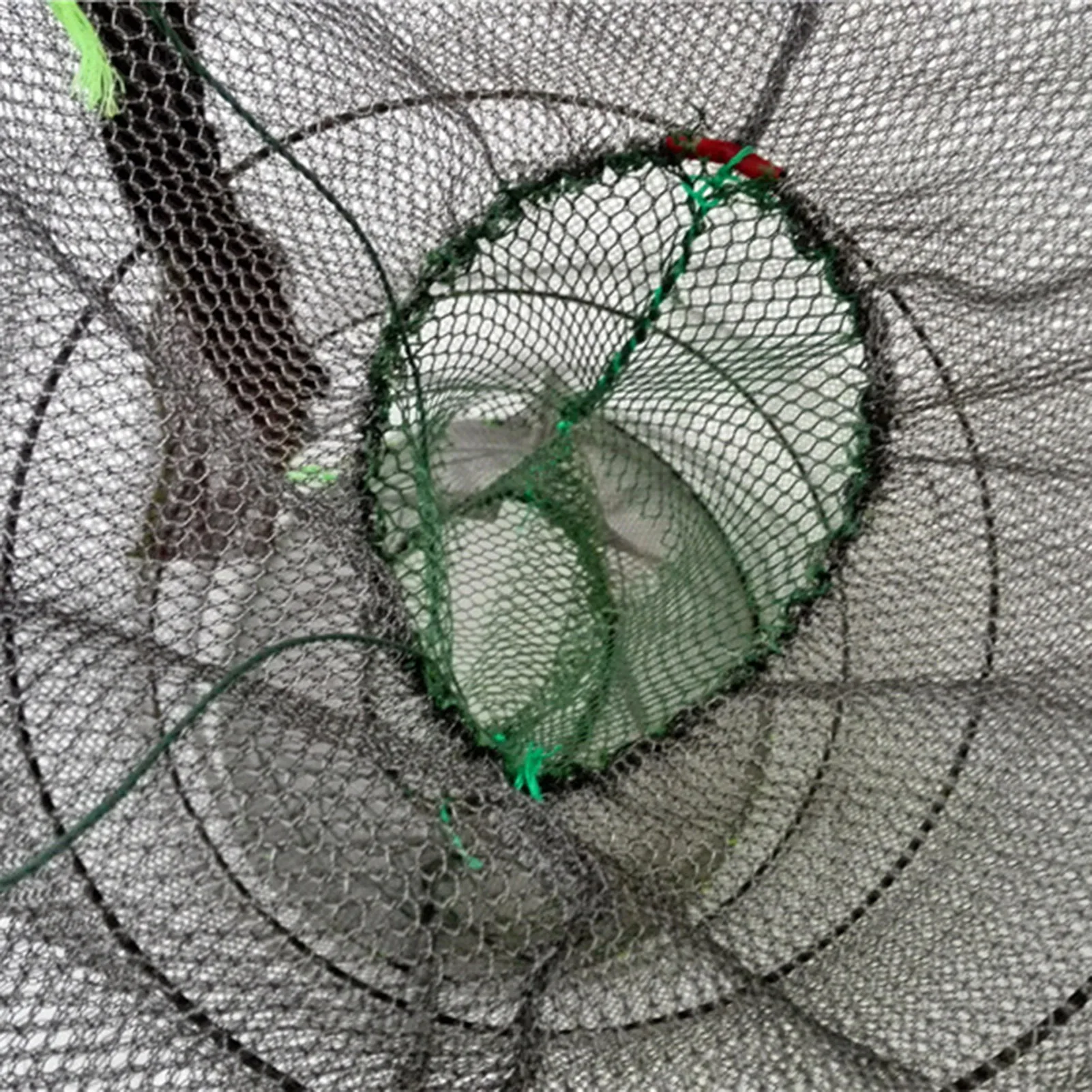 Trampa collapsable para crustáceos – Red plegable de pesca
