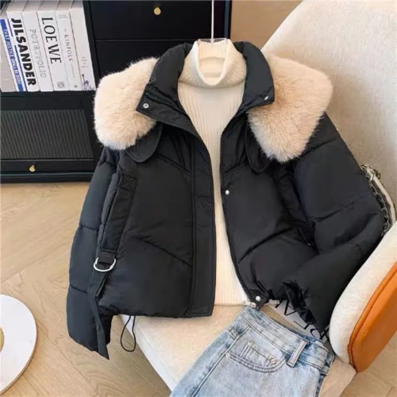 2025 Winter New Down Short Padded Jacket Women Parkas Fur Collar Thick Cotton Coats Clothes Black Brown Casual Outerwear Female