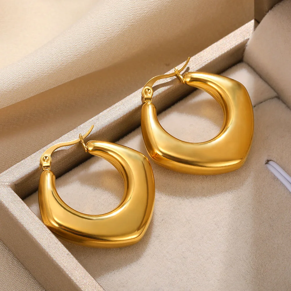 Geometric Earrings for Women Stailnless Steel Tarnish Chunky Ear Buckle Round Thick Earring Fashion Jewelry Gift Wholesalers